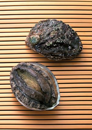 名古屋を代表する絶品うなぎ料理を楽しむ!しら河の店舗ガイドと特徴解説