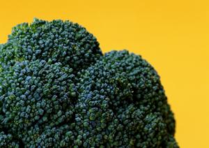 空港ロケーションの楽しさを満喫!ジミー空港店の多彩なグルメとお土産ショップ情報