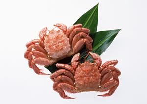 恵比寿の絶品中華料理ガイド2026:おすすめ店と選び方の完全解説